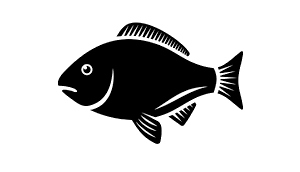 Fish Feeds premium suppliers   India